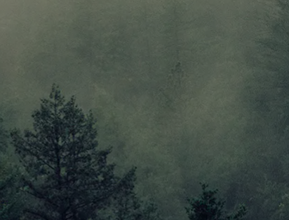 图片引用方法三